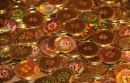 Bitcoin Top 10 Rich List